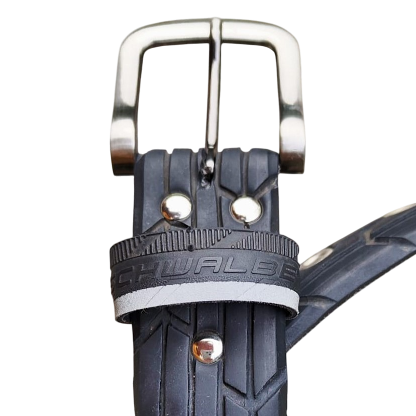 Zwarte-riem-schwalbe